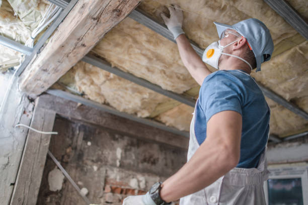 Best Local Insulation Services  in Boone, NC