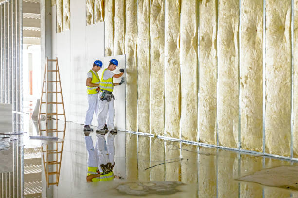 Best Crawl Space Insulation  in Boone, NC